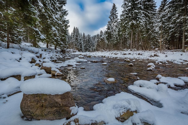 Córrego da montanha no inverno Tatra Mountains na Polônia