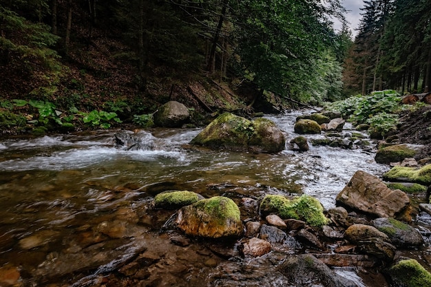 Córrego da montanha no Parque Nacional de High Tatras Polônia