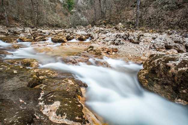 Córrego da montanha rápido entre rochas, floresta de pinheiros coníferos, movimento de água embaçada, close-up