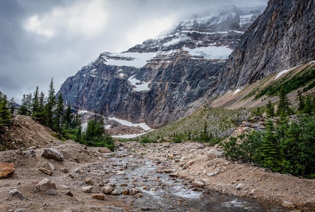 Foto córrego fluindo da trilha glacier em mt edith cavell no jasper national park alberta