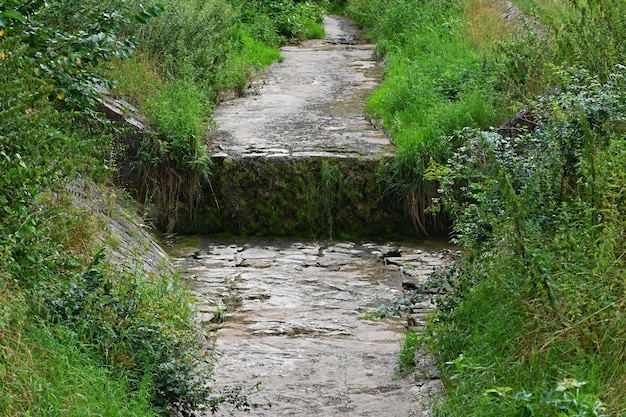 Foto córrego seco pela floresta bela natureza verde sem água clima quente de verão e seca conceito para ecologia e meio ambiente