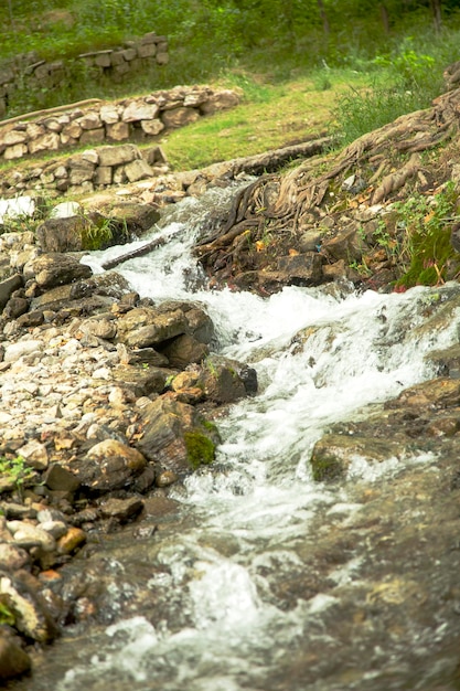 Córrego sinuoso entre as pedras da floresta