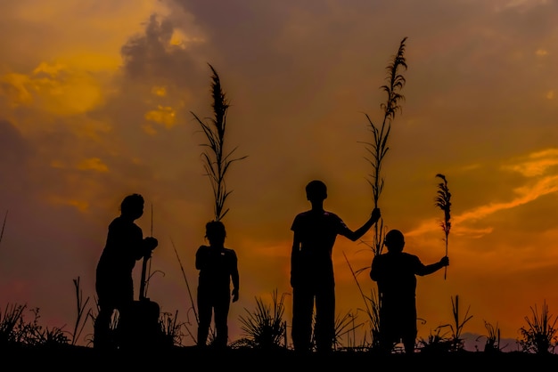 Correndo grupo de crianças correndo no prado, por do sol, silhueta