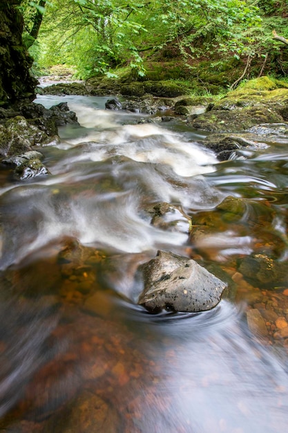 Foto corrente fluindo através de rochas na floresta