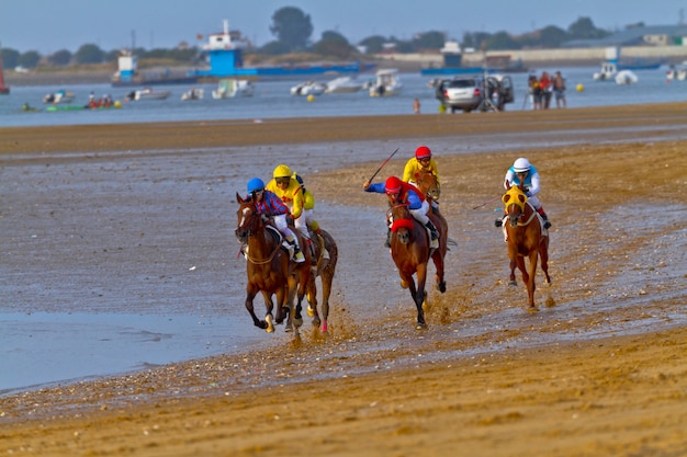 Corrida de cavalos em Sanlucar de Barrameda, Espanha