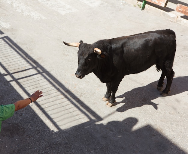 Corriendo de los toros en street fest en españa.