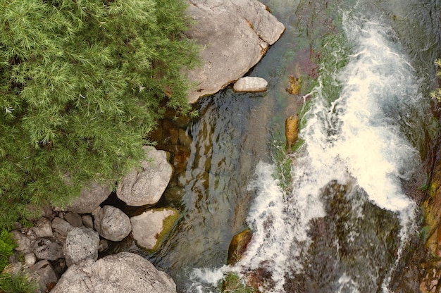 Corriente de agua de montaña rápida vista desde arriba Escena de la naturaleza para los fondos