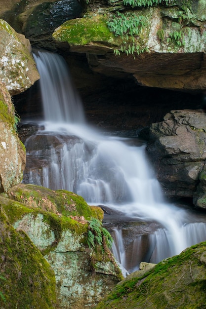 Corriente que fluye a través de las rocas en el bosque