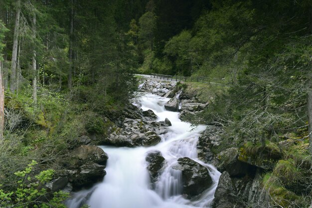 Corriente que fluye a través de las rocas en el bosque