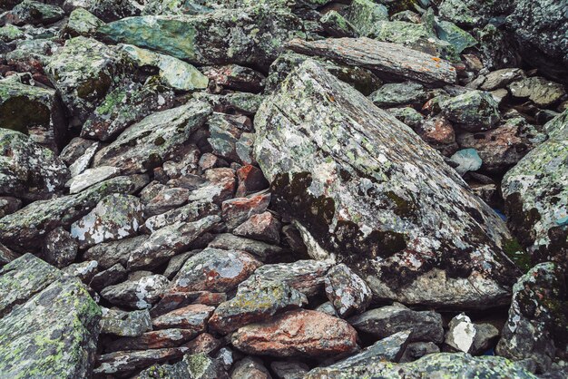 Corriente de rocas multicolores. Roca suelta de cerca. Agua bajo piedras dispersas al azar. Increíble fondo detallado de cantos rodados de las tierras altas con musgos y líquenes. Textura natural del terreno de montaña.