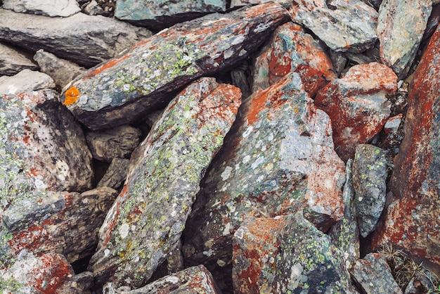 Corriente de rocas multicolores.