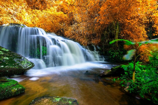 Corrientes cascadas de agua que fluye paisaje de otoño