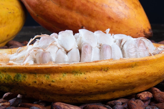 Foto corta los frutos de cacao y los granos de cacao crudos.