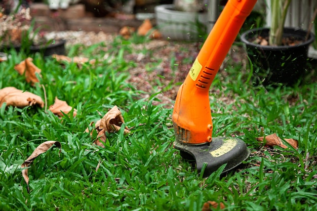 Cortacésped es Herramientas y equipos para el cuidado de la jardinería Proceso de corte de césped con cortacésped manual