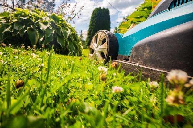 Cortacésped en movimiento sobre hierba verde en el jardín o en el patio trasero Máquina para cortar césped Herramientas y equipos para el cuidado de la jardinería Proceso de recorte del césped