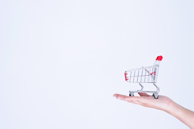 Cortado sosteniendo un pequeño carrito de compras contra un fondo blanco
