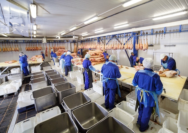 Foto cortar carne en matadero.