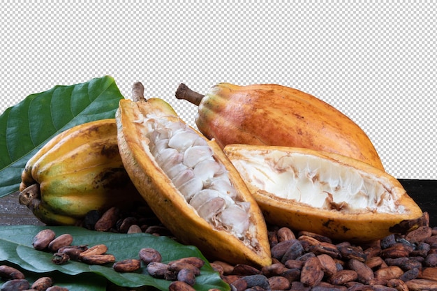 Cortar frutos de cacao y granos de cacao crudos con fondo transparente png