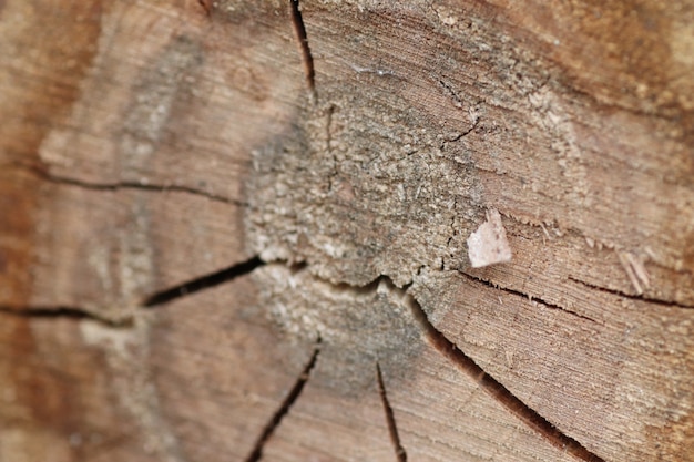 Cortar madera con fondo de madera vieja agrietada