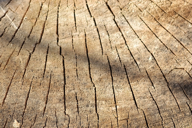 Cortar madera con fondo de madera vieja agrietada