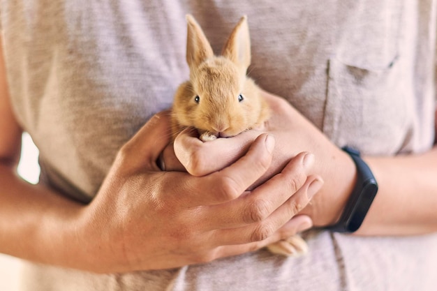 Foto cortar mulher com adorável coelhinha