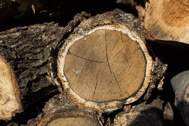 Foto cortar la superficie del tocón de árbol como fondo