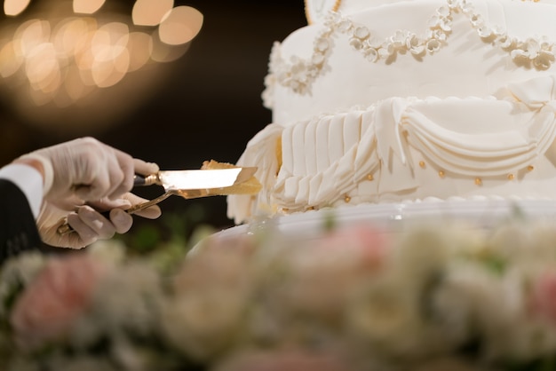 Cortar la torta de boda, pareja de la mano juntos, celebración