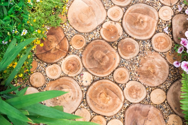 Cortar troncos, camino, jardín decorativo