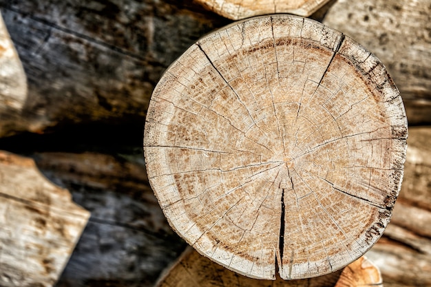 Cortar troncos de madera