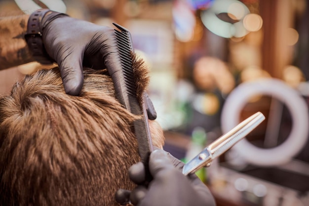 Corte de cabelo masculino na barbearia fecha o cliente cortando o cabelo pelo cabeleireiro com pente e tesoura