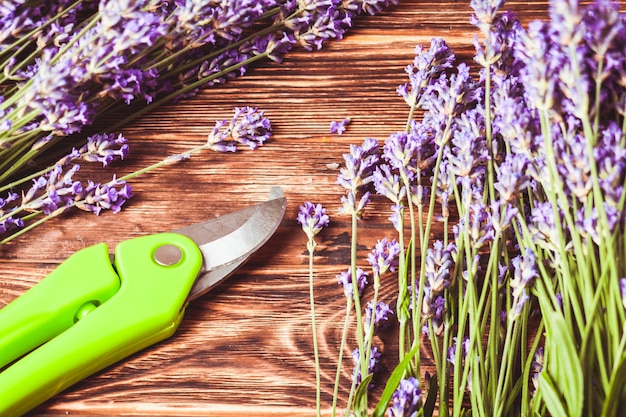 Corte de lavanda