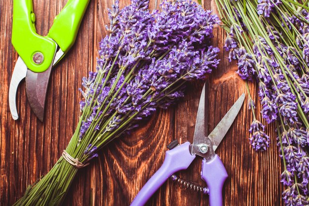 Corte de lavanda