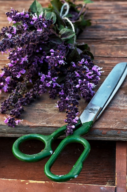 Corte de lavanda