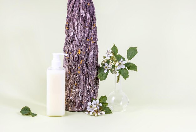 Corteza de árbol de contenedor de cosméticos con líquenes y ramas de flores de mora