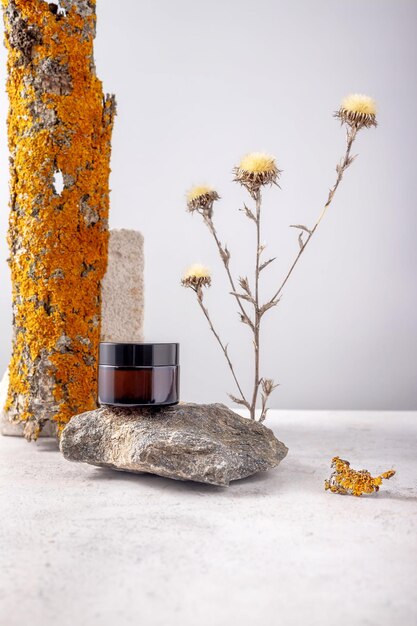 Corteza de árbol de contenedor de cosméticos con piedra de líquenes y flores secas sobre un fondo gris