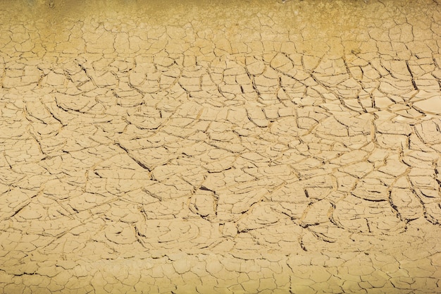 Foto corteza de tierra agrietada. sequía