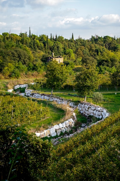 Cortijo abandonado cerca de un arroyo de ladrillo.