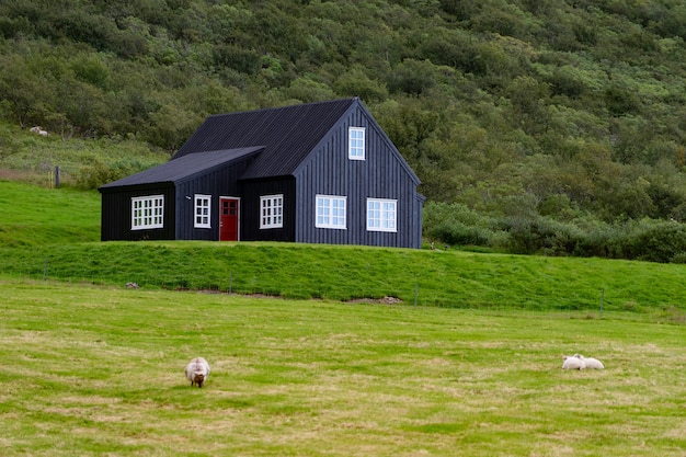 Cortijo en la colina en Islandia con y campo verde