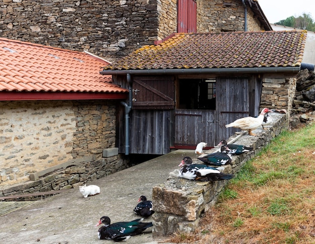 Cortijo en el pueblo francés