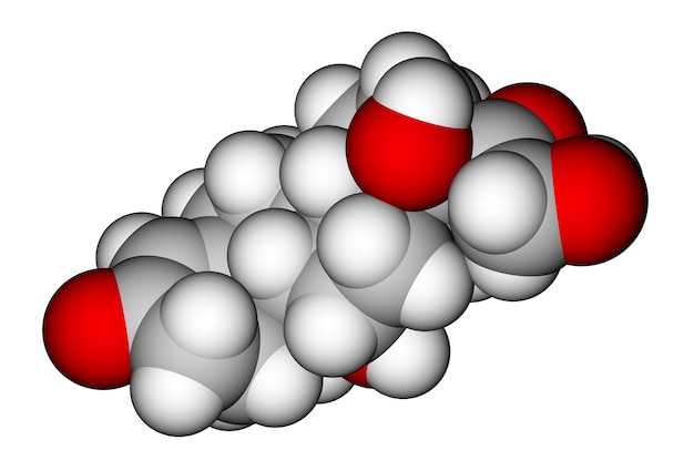 Cortisol raumfüllendes Molekülmodell