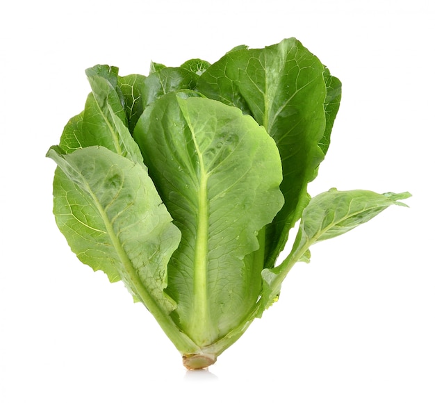 Cos lechuga sobre superficie blanca