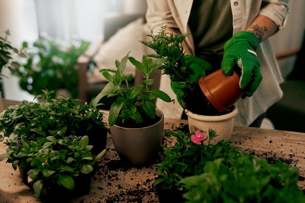 Las cosas pueden complicarse un poco por aquí Captura recortada de una floristería irreconocible plantando macetas dentro de su tienda