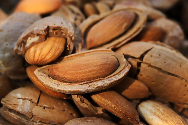 Cosecha de almendras Almendras partidas