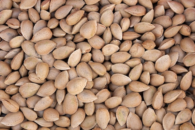 Cosecha de almendras sin cáscara de cerca