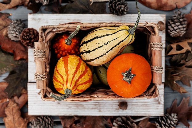 Foto cosecha de calabaza en caja rústica con hojas de otoño sobre fondo de madera, concepto de vacaciones de temporada