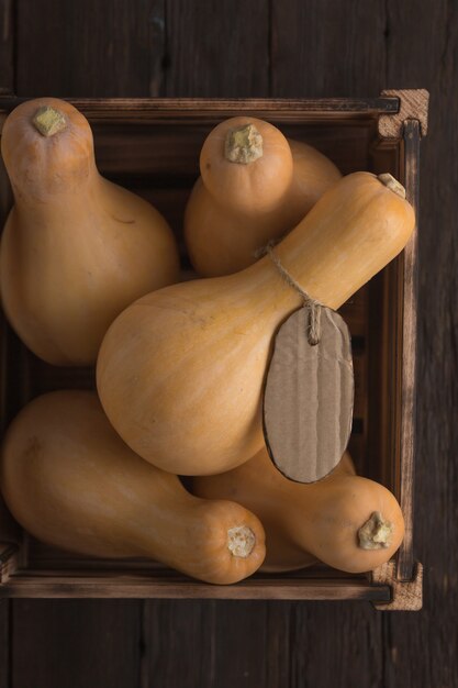 Cosecha de calabazas en una mesa de madera en una caja, vista superior