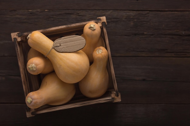 Cosecha de calabazas en una mesa de madera en una caja, vista superior