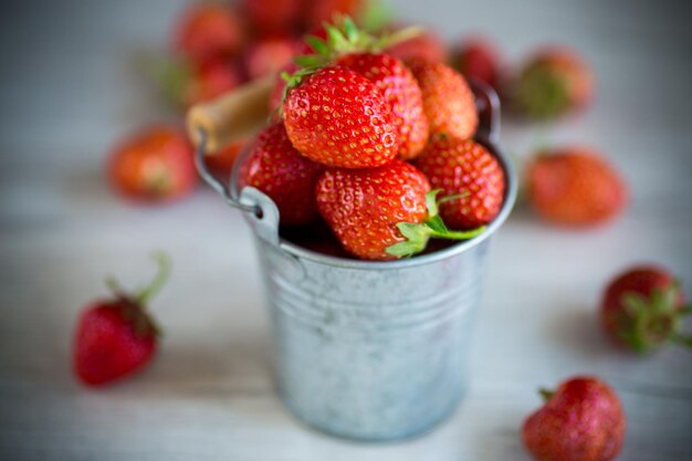 cosecha de fresas naturales maduras rojas sobre una mesa de madera