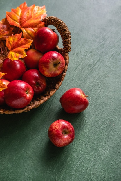 Cosecha fresca de manzanas