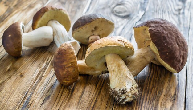 Cosecha fresca de setas porcini en una mesa de madera Resultado afortunado de la recolección de setas